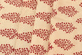 Beige and Red Handmade Block Print Cotton Fabric by the Yard | Eco-Friendly & Breathable