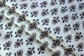 Hand Block Print Cotton Fabric: Blue Brown Floral Indian Fabric